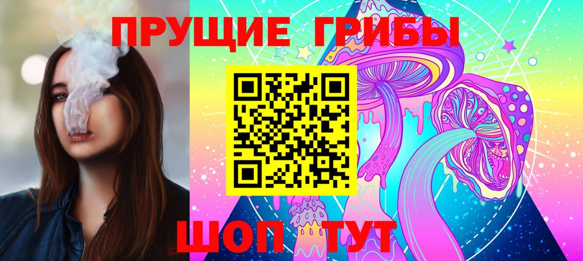 Дмитров  Галлюциногенные грибы GOLDEN TEACHER  Вход с VPN 